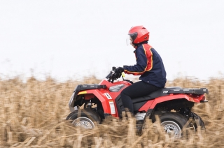  Manejando por los campos 